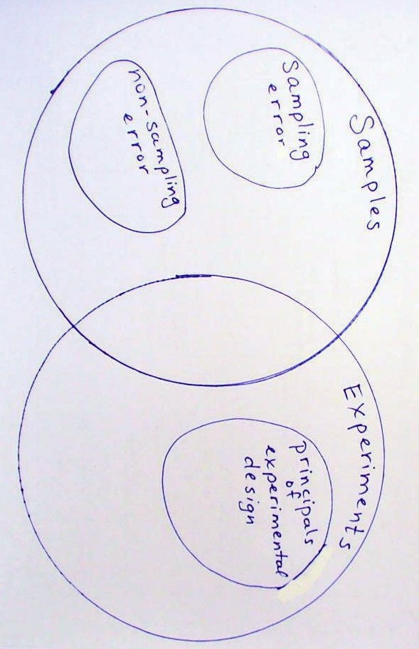 Venn Diagram Activity